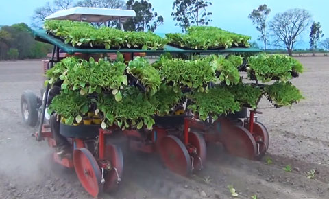 Transplanter.jpg